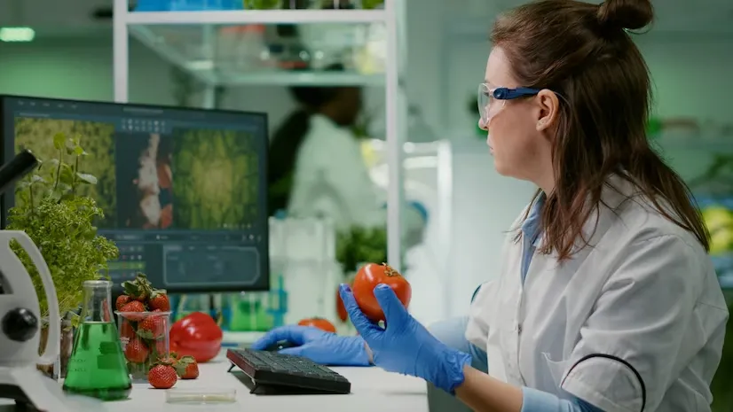 Artificial-Intelligence-and-Food-Safety